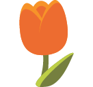 Tulip