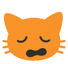 Weary Cat