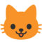 Muso Di Gatto