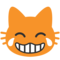 Gatto Con Lacrime Di Gioia