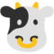 Muso Di Mucca