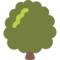 Albero Deciduo