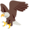 Aquila