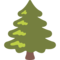 Albero Sempreverde