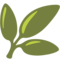 Pianta