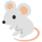 Topo