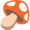 Fungo