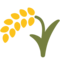 Pianta Di Riso