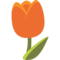 Tulipano