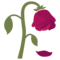 Fiore Appassito