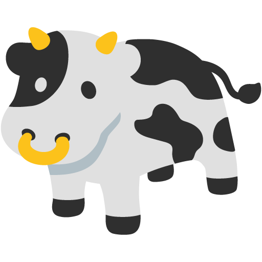 Mucca