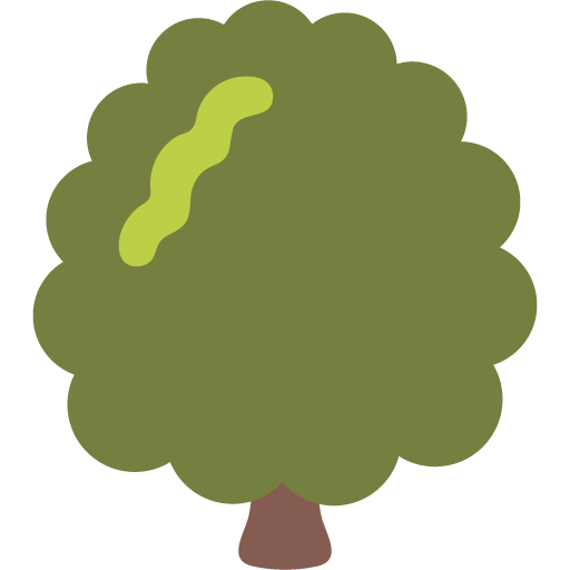 Albero Deciduo