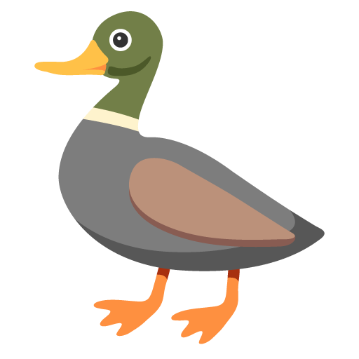 Anatra
