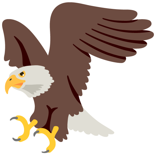 Aquila