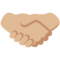 Stretta Di Mano: Carnagione Medio-Chiara