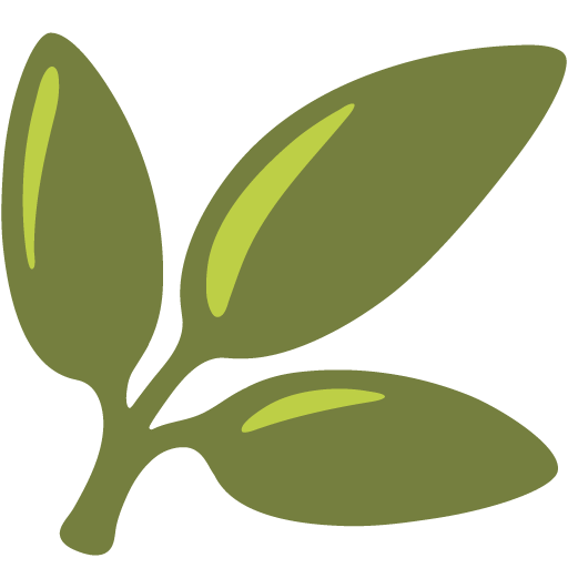 Pianta