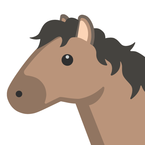 Muso Di Cavallo