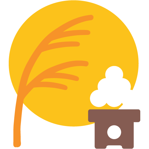 Contemplazione Della Luna
