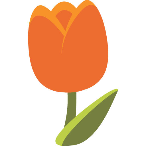 Tulipano