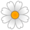 Fiore