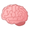 Cervello