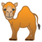 Dromedario
