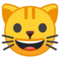 Muso Di Gatto