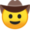 Faccina Con Cappello Da Cowboy