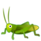 Grillo