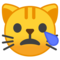 Gatto Che Piange