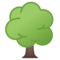 Albero Deciduo