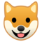 Muso Di Cane