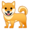 Cane