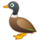 Anatra