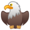 Aquila