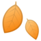 Foglia Caduta