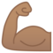 Bicipite: Carnagione Media