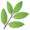 Pianta