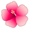 Ibisco