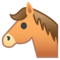 Muso Di Cavallo