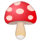 Fungo