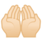 Mani Unite In Alto: Carnagione Chiara