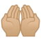 Mani Unite In Alto: Carnagione Medio-Chiara