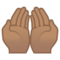 Mani Unite In Alto: Carnagione Media