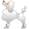 Barboncino