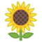 Girasole