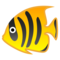 Pesce Tropicale