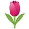 Tulipano