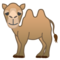 Cammello