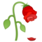 Fiore Appassito
